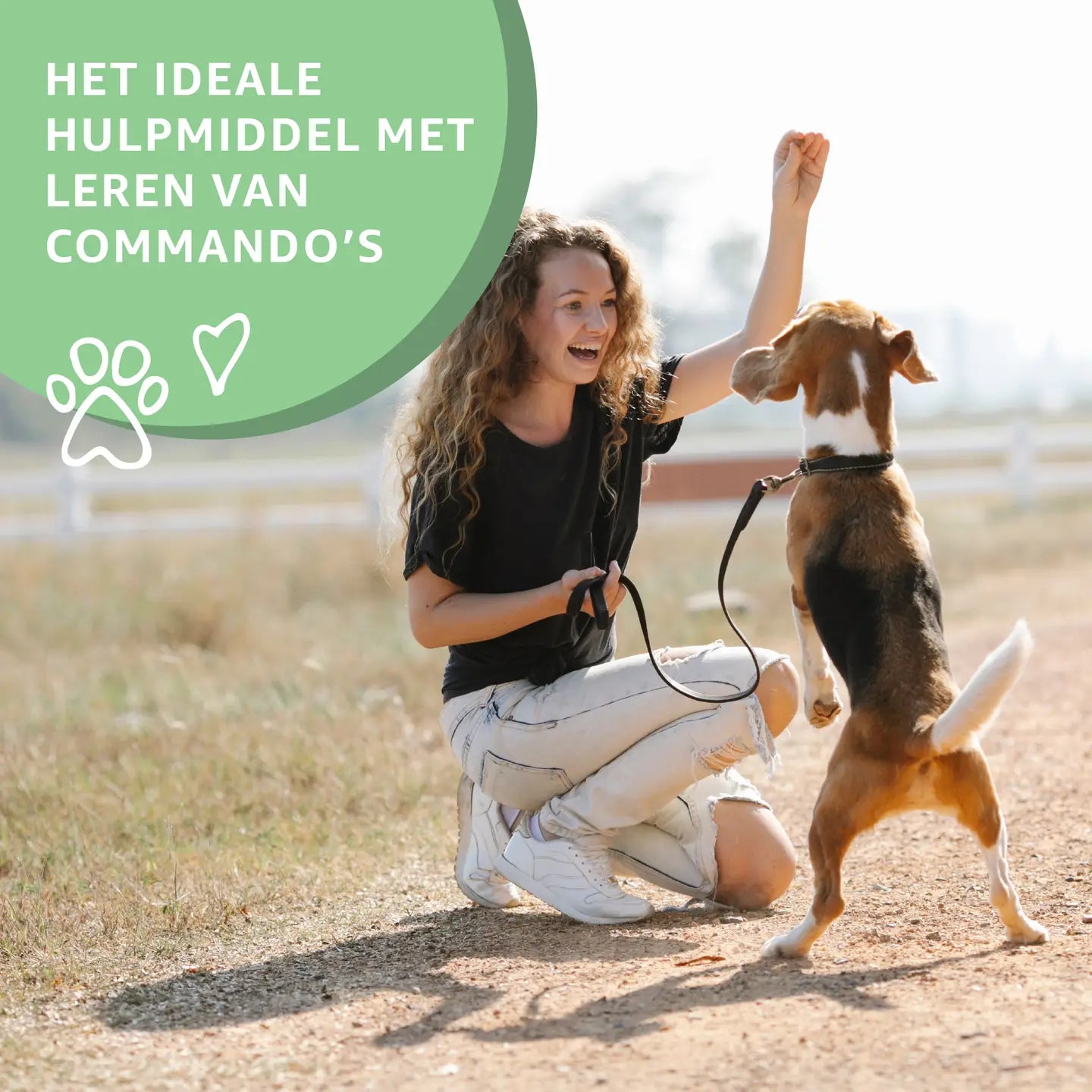 Puppy Training Snacks Eend | Woef Woef Snacks