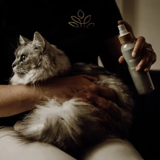 Glansontklitter voor honden & katten | Nellumbo