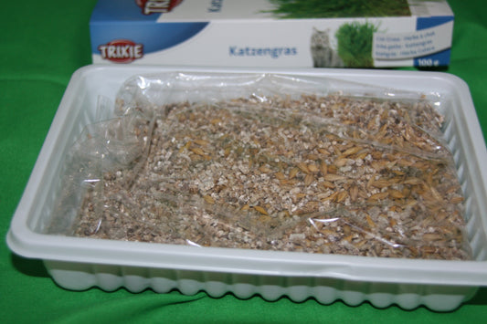 Kattengras | 100gr
