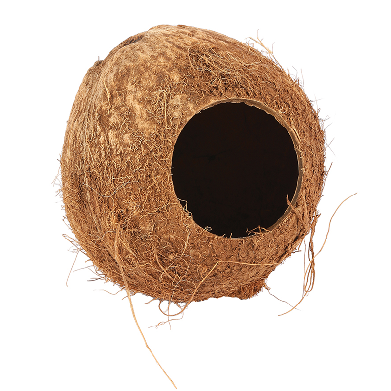 Kokosnoot verstopplek | Nature First