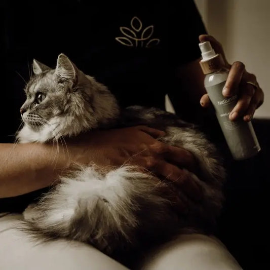 Glansontklitter voor honden & katten | Nellumbo