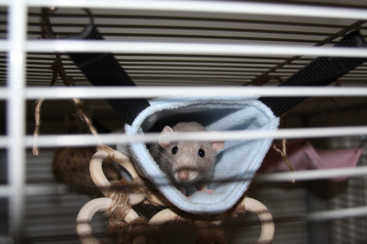 Knaagdieren | Fleece Tunnel (Generatie 1)