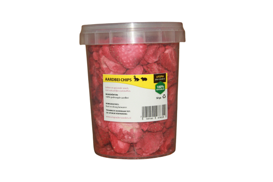 Natuurlijk Gedroogde Aardbei | 50gr