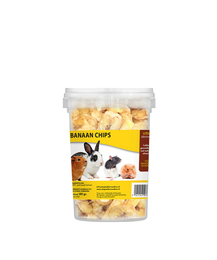 Natuurlijk Gedroogde Banaan | 150gr